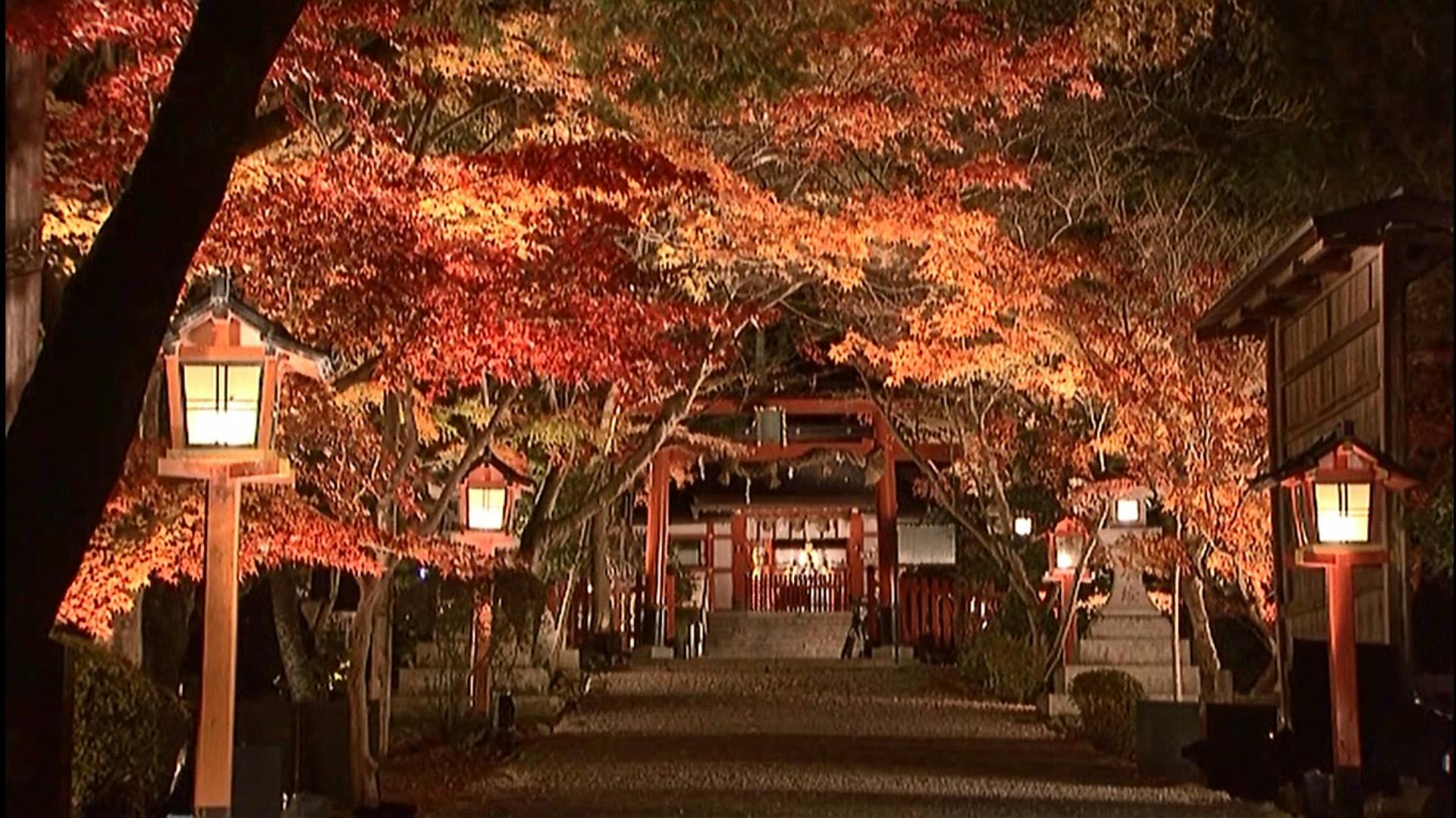 京都西京区大原野神社で初の紅葉夜間ライトアップイベントで地域を盛り上げたい Campfire キャンプファイヤー