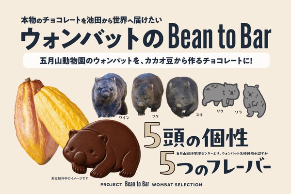 【ウォンバット5頭の個性をBean to Barで】池田のTOKIプロジェクト
