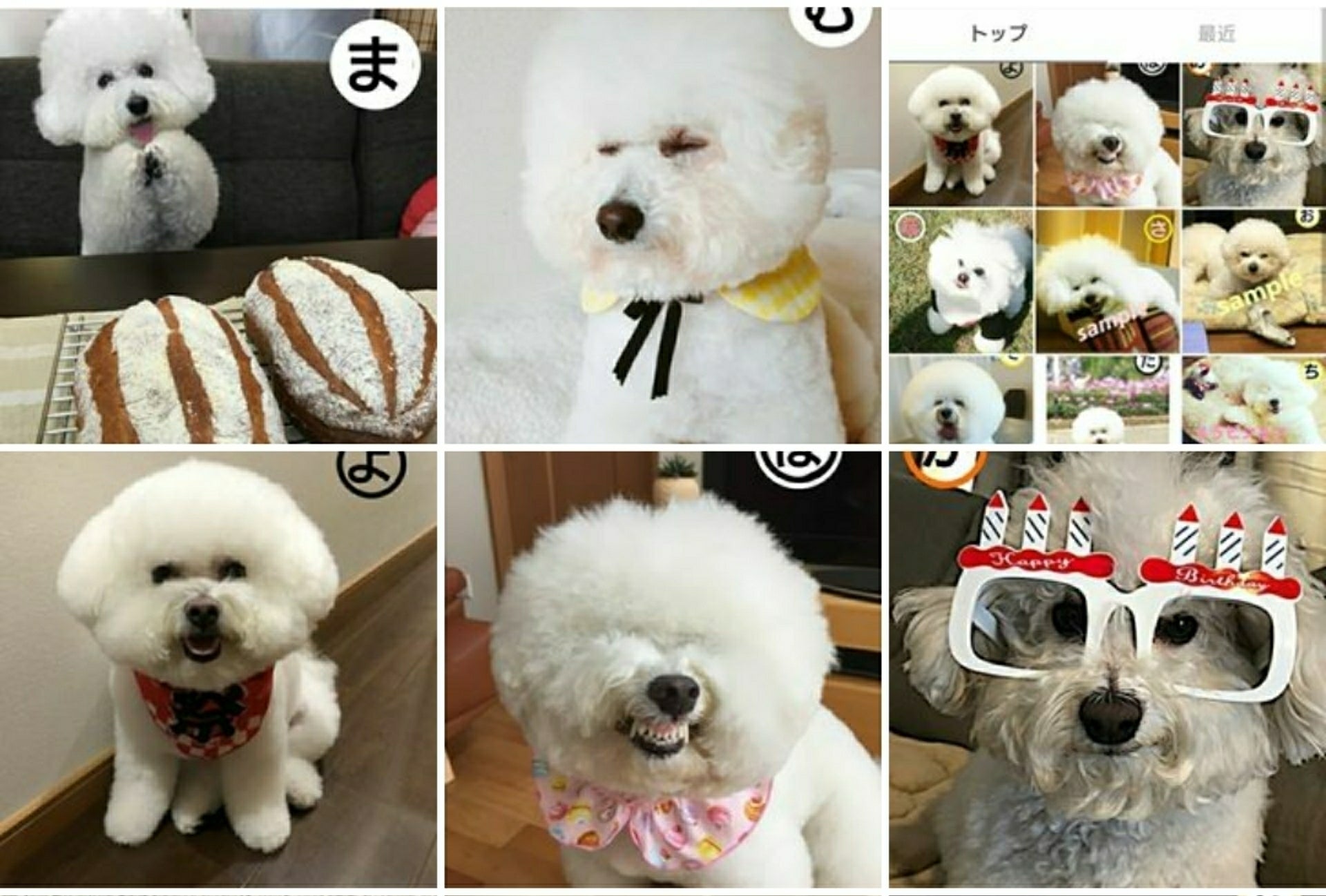 1番目のメイン画像