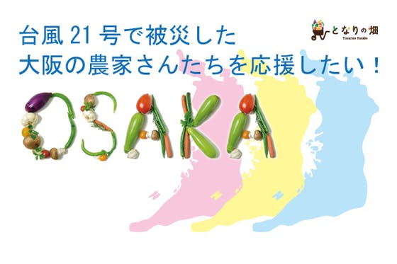 CAMPFIRE　台風21号で被災した大阪の農家さんたちを応援したい！　(キャンプファイヤー)
