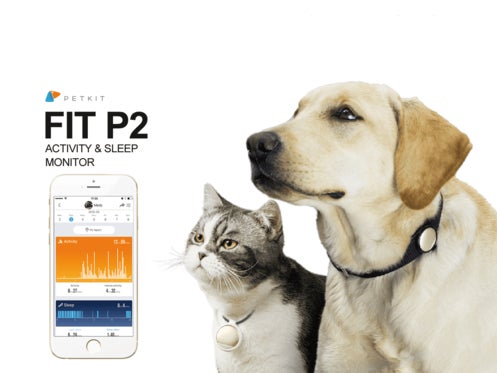FIT P2