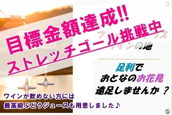 ファーストクラスで提供されるワインの産地足利でおとなのお花見遠足を開催したい Campfire キャンプファイヤー