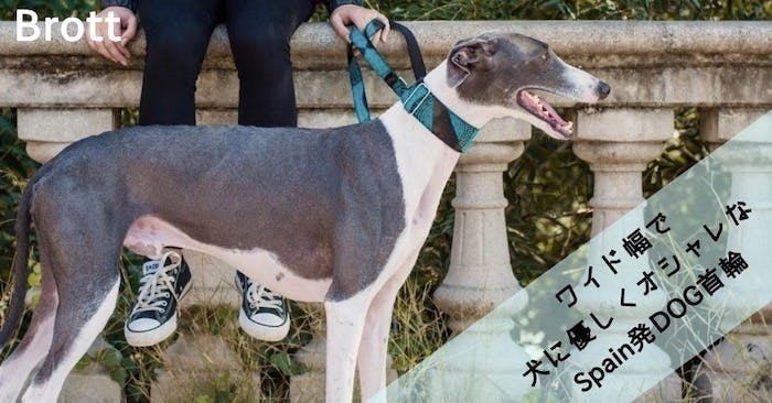 スペインから初上陸brott オシャレでワイド幅 ハウンド 全犬種に優しい首輪 Campfire キャンプファイヤー