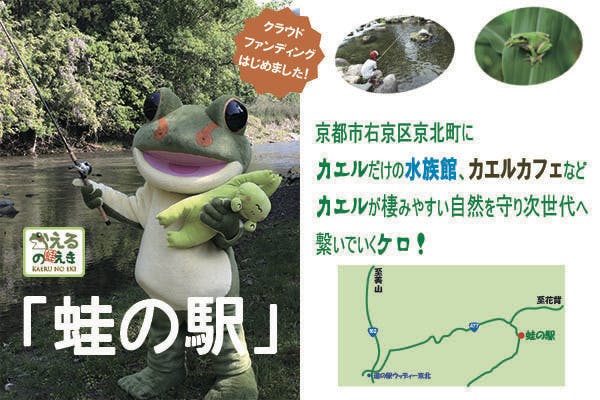 カエルだらけのテーマパーク 蛙の駅 を作って 京都市内から環境保護を発信したい Campfire キャンプファイヤー