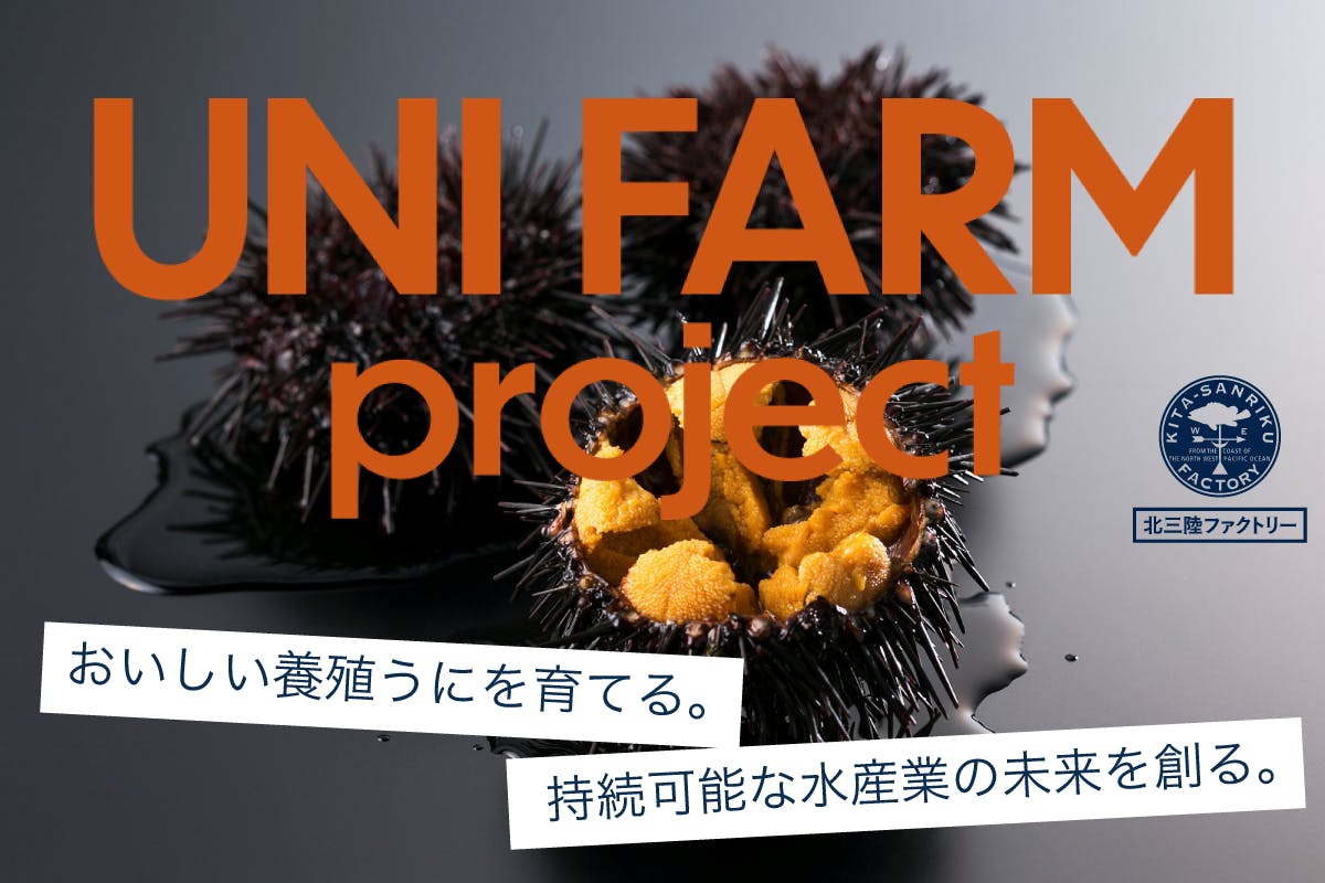 Uni Farm Project おいしい養殖うにを育て 水産業の未来を創る Campfire キャンプファイヤー