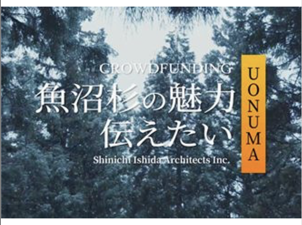 新潟県 魚沼杉の魅力を家具 小物を想いを通じて伝えたい Campfire キャンプファイヤー