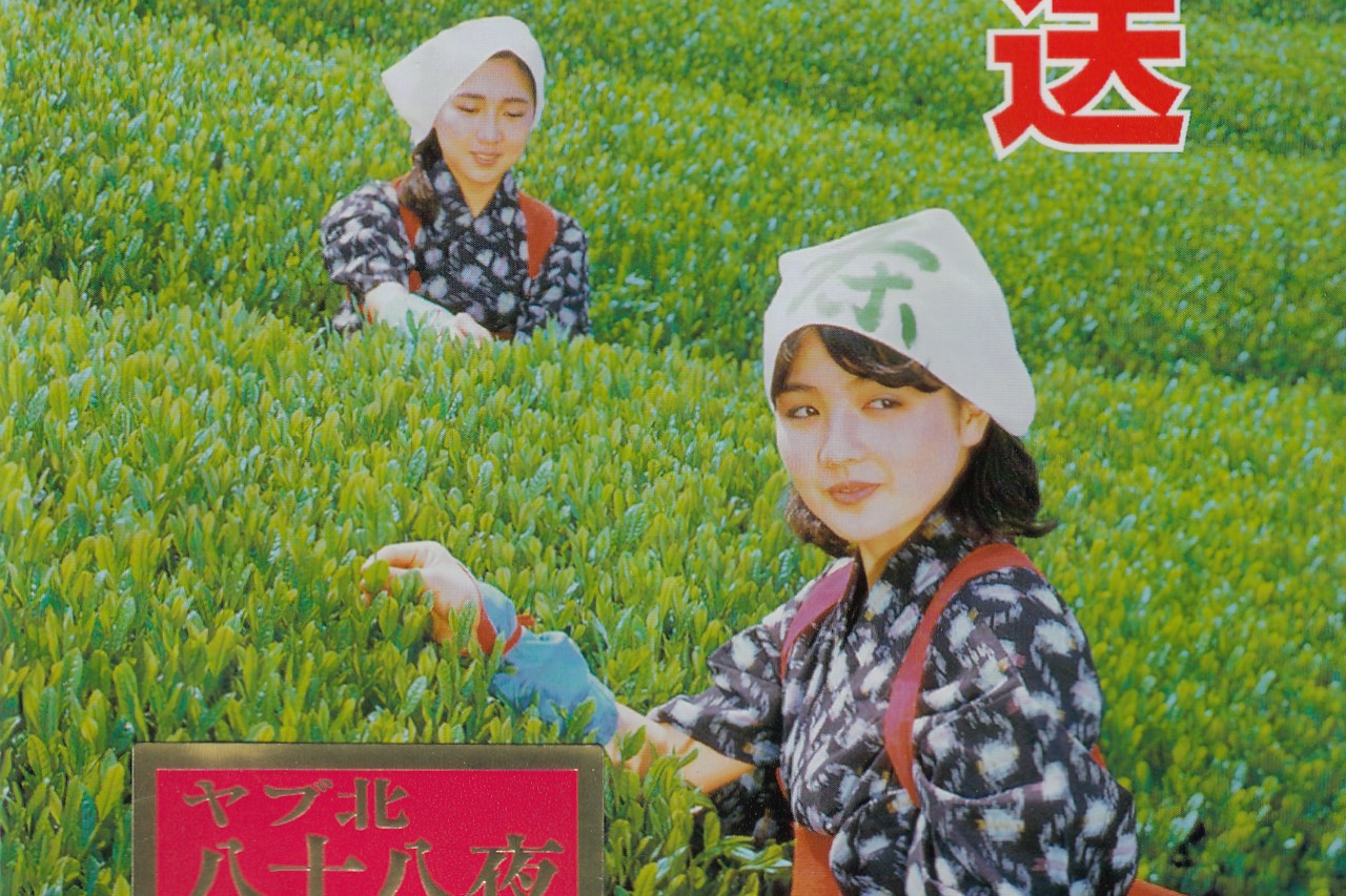 世界で一種類だけの八十八夜摘み新茶 - CAMPFIRE (キャンプファイヤー)