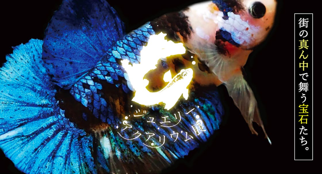 埼玉県に新水族館 ジュエリーアクアリウム展 Campfire キャンプファイヤー