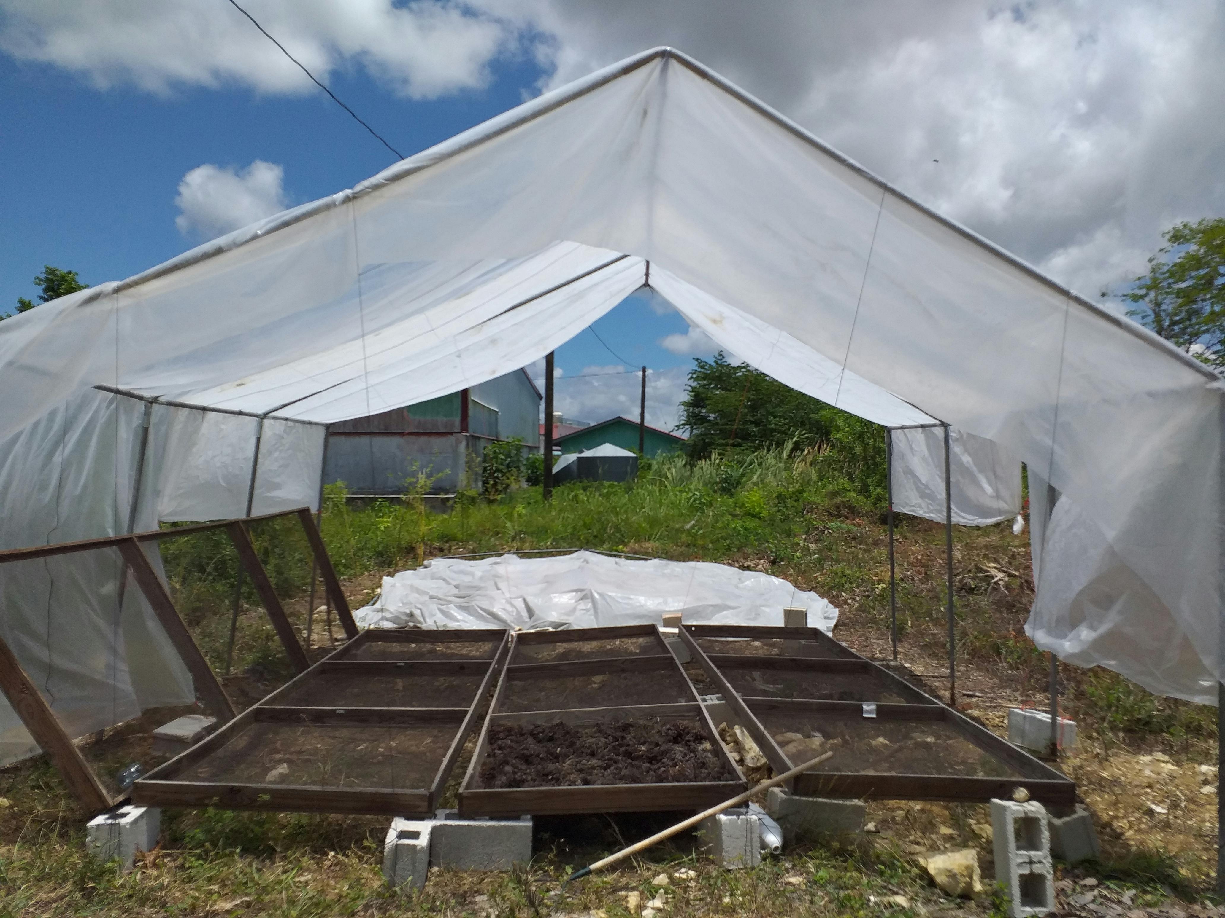 カリブ海に流れ着く海藻を肥料に変えて 海を綺麗に山に緑を戻そう Campfire キャンプファイヤー カリブ海に流れ着く海藻を肥料に変えて 海を綺麗に山に緑を戻そう Campfire キャンプファイヤー