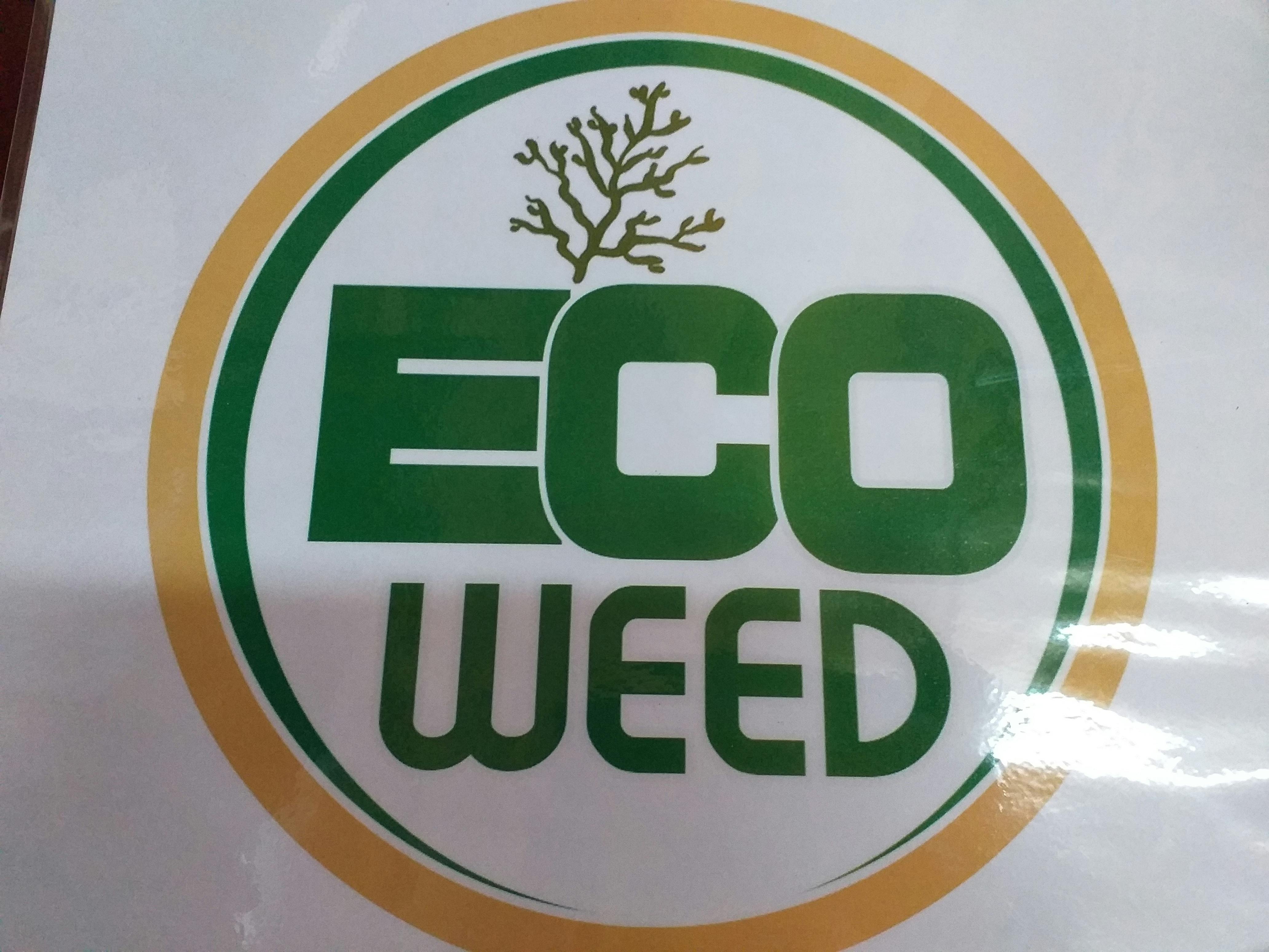 カリブ海に流れ着く海藻を肥料に変えて 海を綺麗に山に緑を戻そう Campfire キャンプファイヤー カリブ海に流れ着く海藻を肥料に変えて 海を綺麗に山に緑を戻そう Campfire キャンプファイヤー