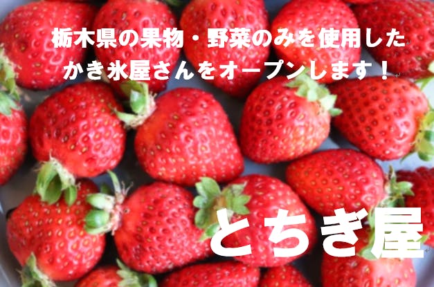 栃木県の 美味しい を体験する かき氷屋さんを作る Campfire キャンプファイヤー