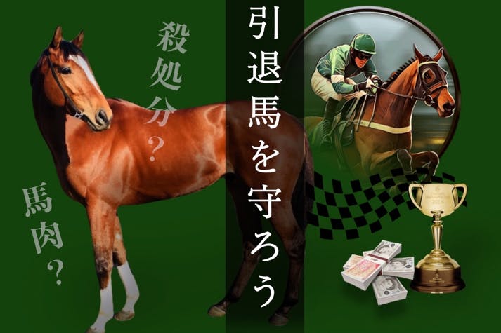 引退した競走馬の命を守る 1頭でも多くの命を救いたい ホースプロジェクト3sへのコメント Campfire キャンプファイヤー