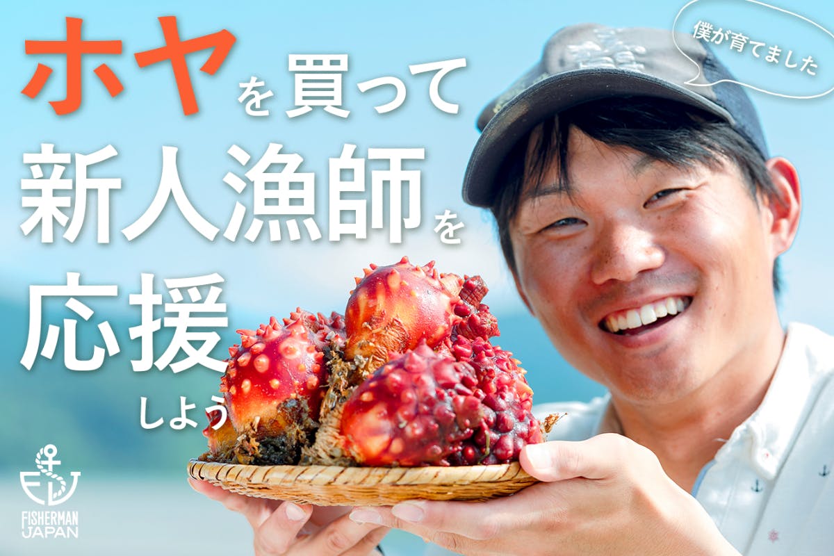ホヤを食べると が甘くなるって本当 Campfire キャンプファイヤー ホヤを食べると が甘くなるって本当 Campfire キャンプファイヤー