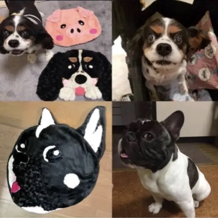 5番目のメイン画像