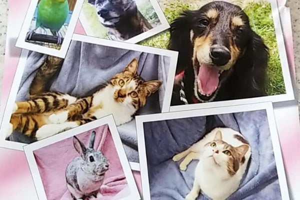 1番目のメイン画像