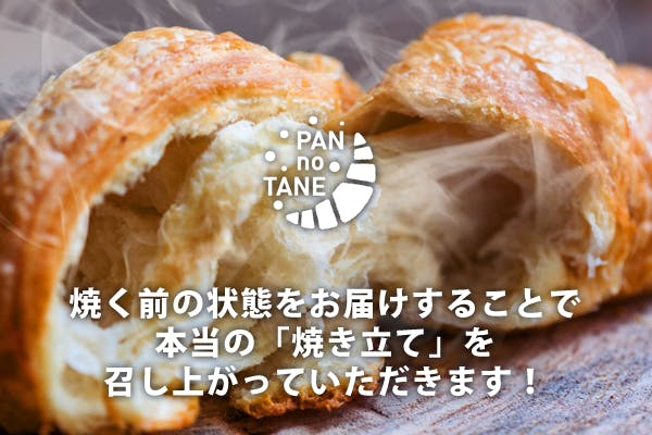 限定製作 1961年1月 Pan グリーンサンシャイン 特別送料無料！】 DRP