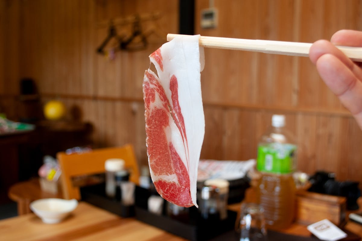 ジビエの常識を覆す猪肉を全国へ 伊勢の国の秘境ジビエ をネット通販で届けたい Campfire キャンプファイヤー ジビエの常識を覆す猪肉を全国へ 伊勢の国の秘境ジビエ をネット通販で届けたい Campfire キャンプファイヤー