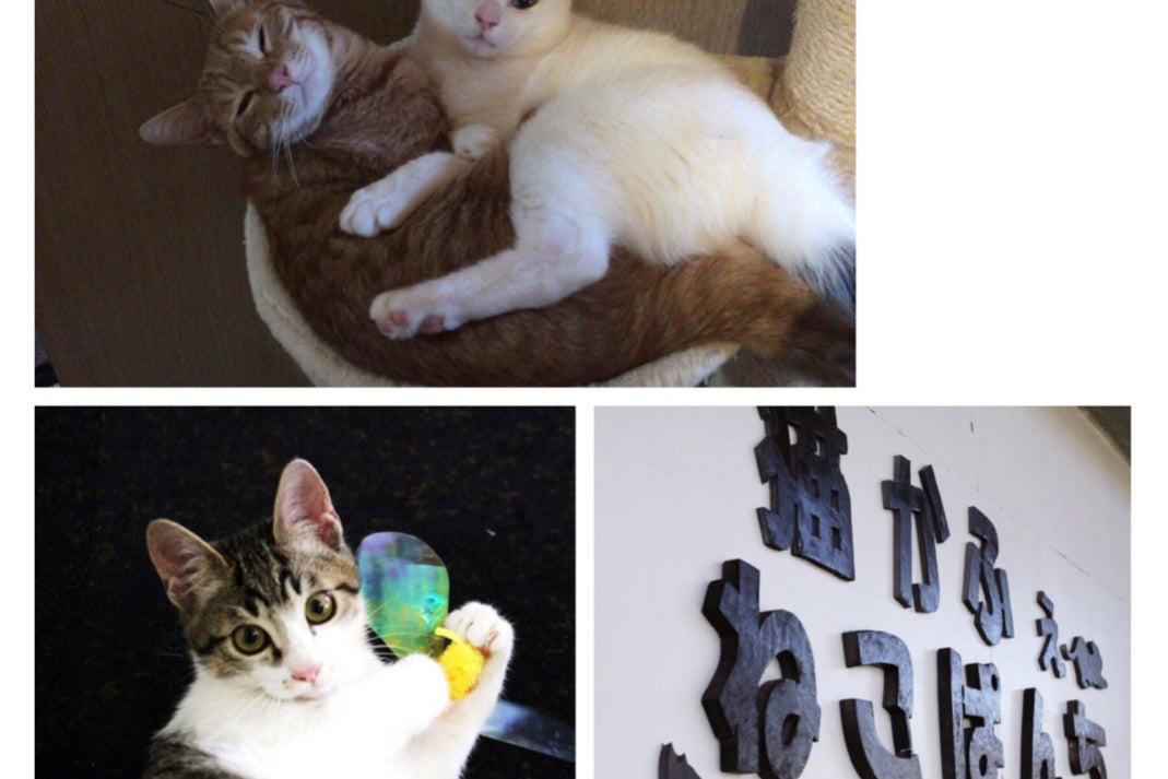 1番目のメイン画像