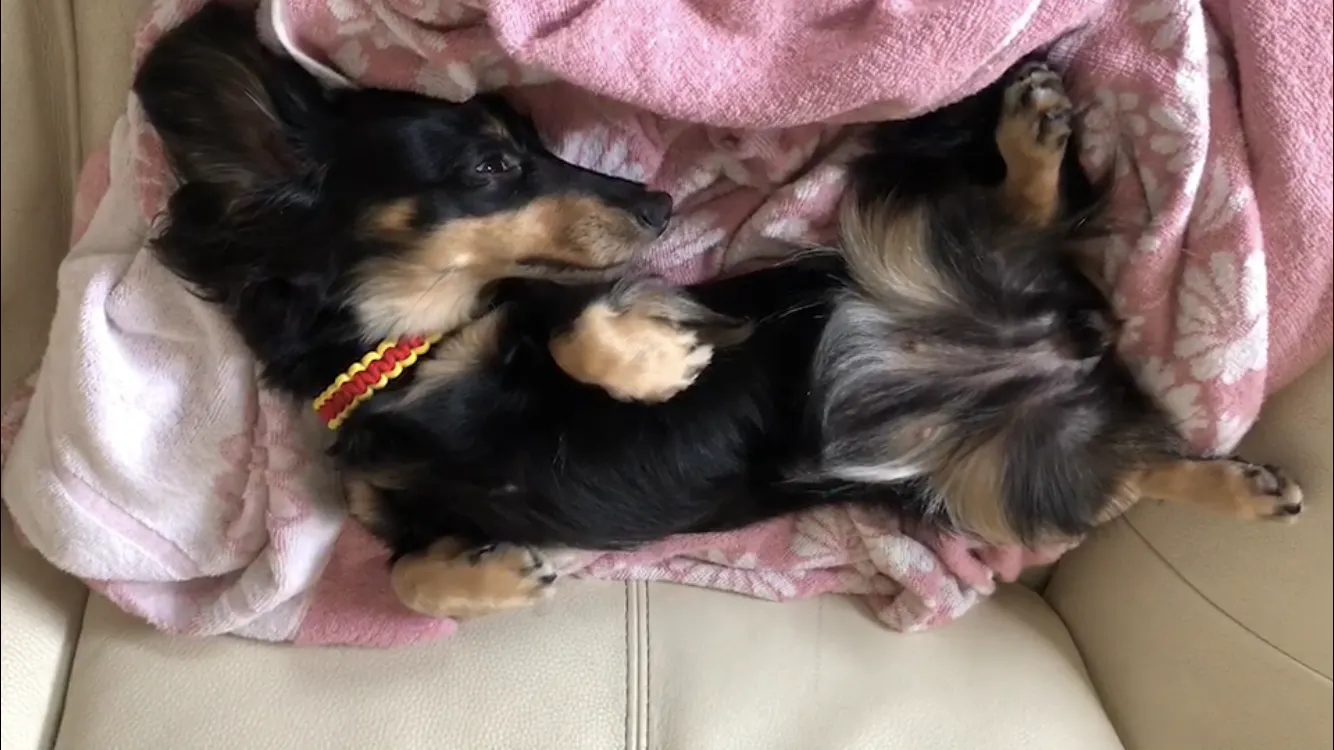 いやされ動画館のyoutube動画を毎日投稿するために 機材とソフトを買いたい Campfire キャンプファイヤー