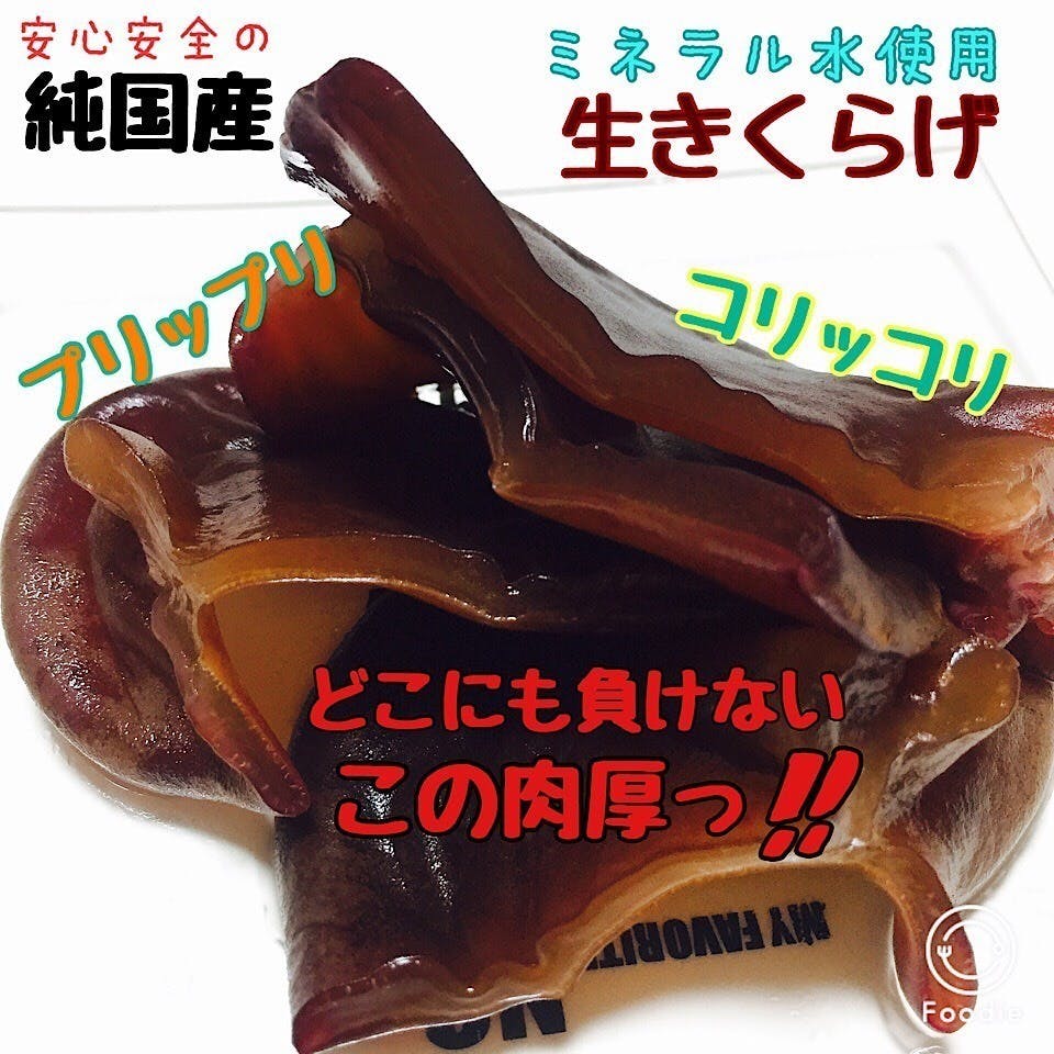国産きくらげの良さをより多くの方々に知って頂く Campfire キャンプファイヤー 国産きくらげの良さをより多くの方々に知って頂く Campfire キャンプファイヤー