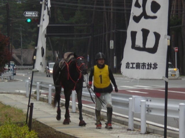 馬のエンデュランス競技とピュア・アラビアン(純血アラブ種)の魅力を広めたい馬のエンデュランス競技とピュア・アラビアン(純血アラブ種)の魅力を広めたい
