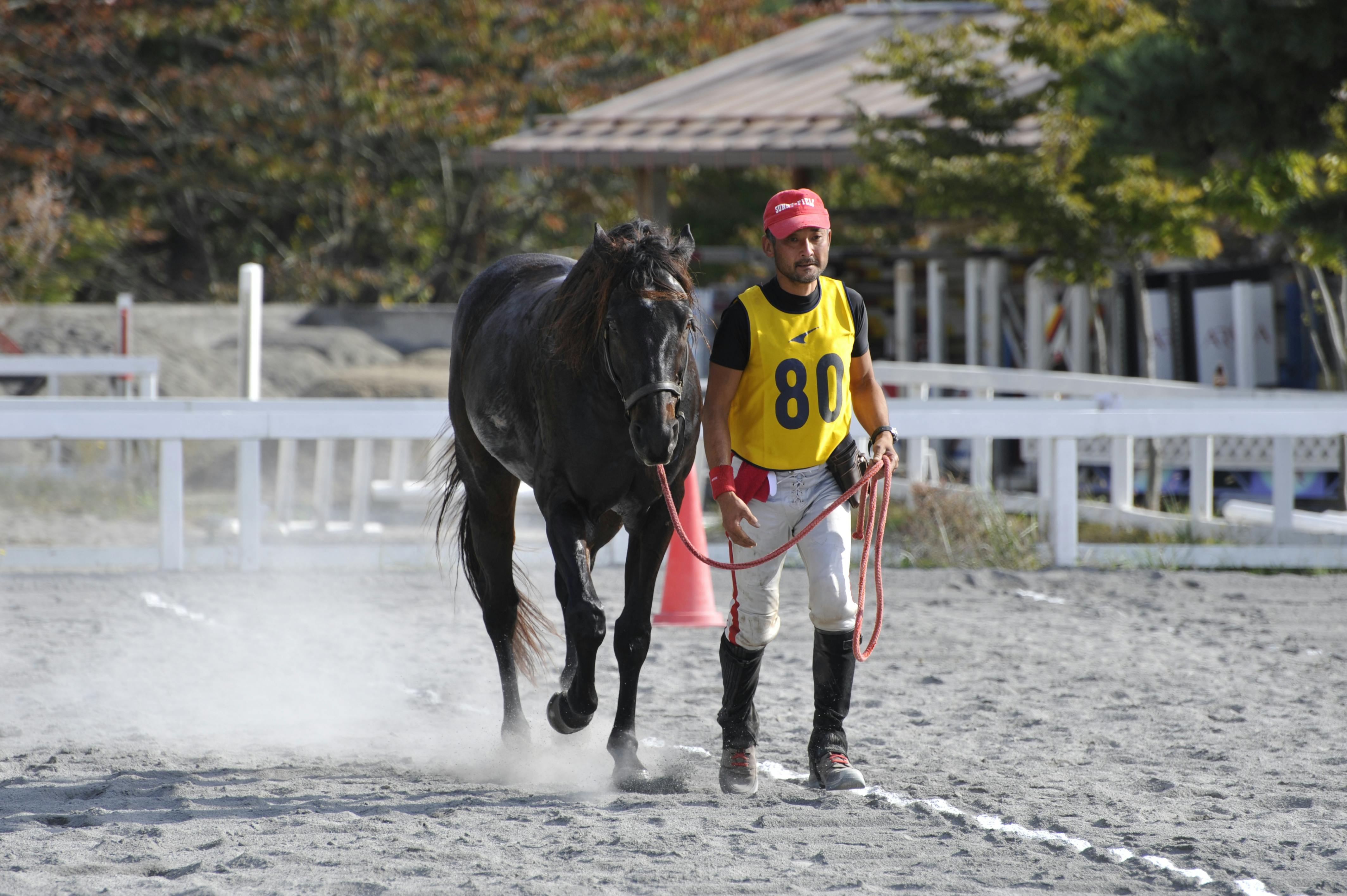 馬のエンデュランス競技とピュア・アラビアン(純血アラブ種)の魅力を広めたい馬のエンデュランス競技とピュア・アラビアン(純血アラブ種)の魅力を広めたい