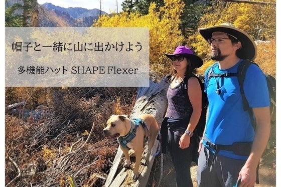 SHAPE Flexer