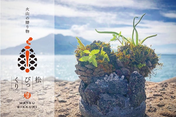 鹿児島県内の就労支援利用者さんがつくる火山の贈り物。 「松びっくり