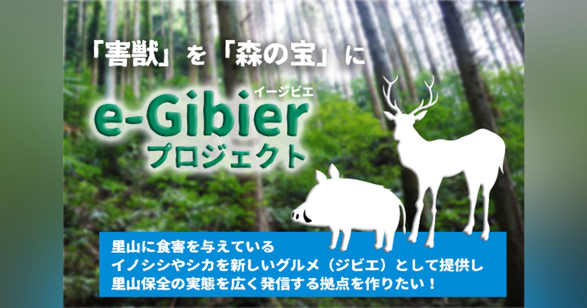 〝害獣〟野生のイノシシやシカを 〝ジビエ〟して利活用する拠点を作りたい! - CAMPFIRE (キャンプファイヤー)
