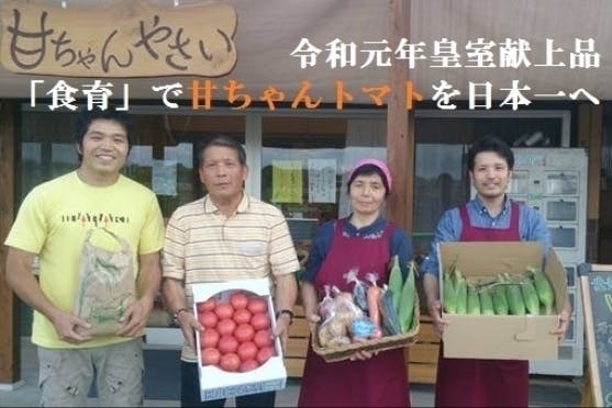 皇室献上用 甘ちゃんトマト を日本一へ Campfire キャンプファイヤー