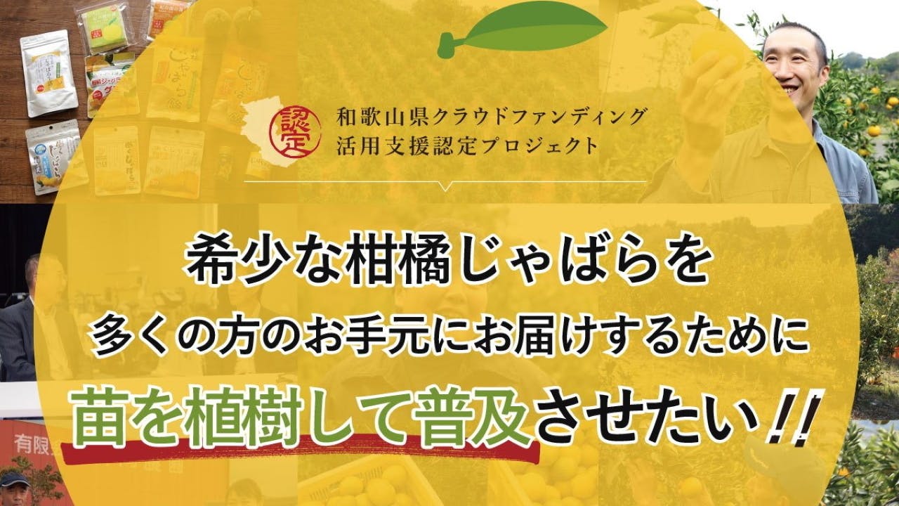 希少な柑橘じゃばらを多くの方のお手元にお届けするために苗を植樹して