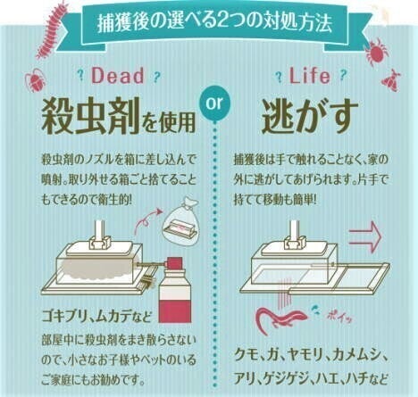 もうゴキブリも怖くない！捕獲し逃がすも殺虫剤も可！新開発【家虫 