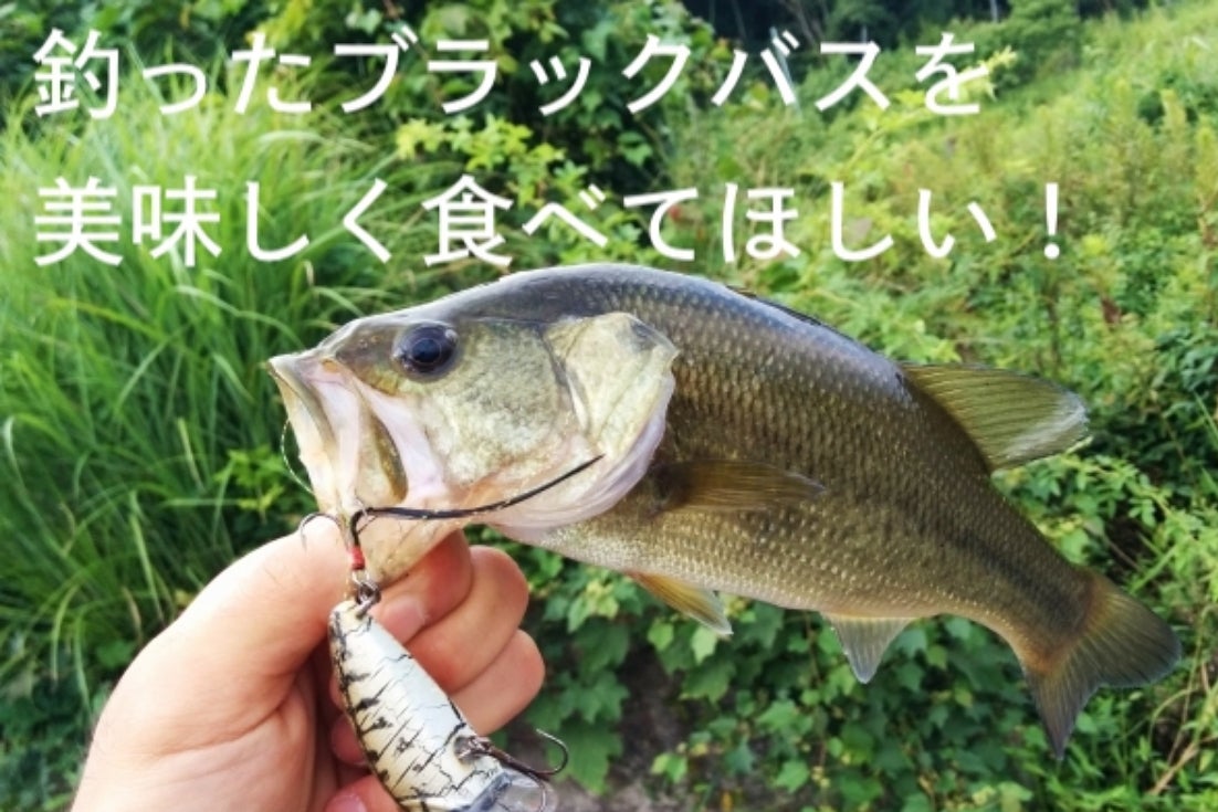 ブラックバスの美味しさをみんなで共有したい Campfire キャンプファイヤー