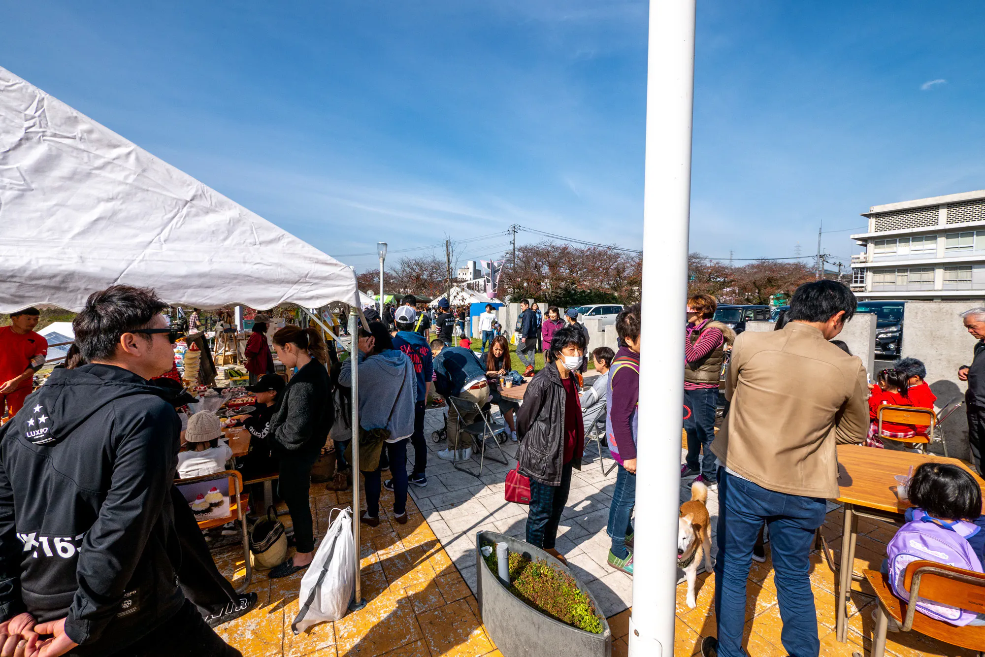 3番目のメイン画像