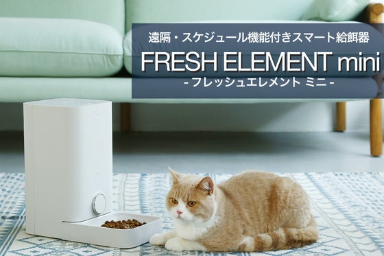 FRESH ELEMENT ミニ