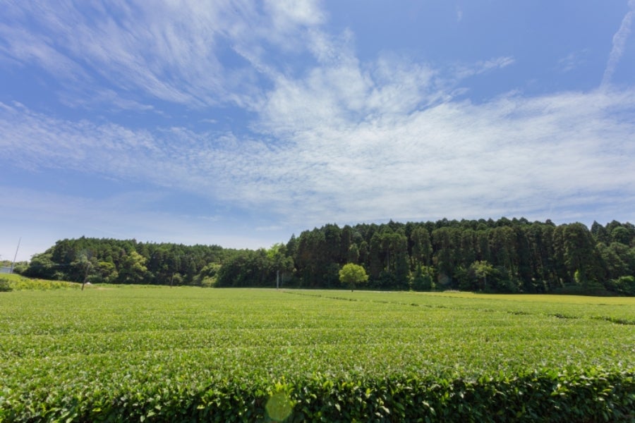 1番目のメイン画像