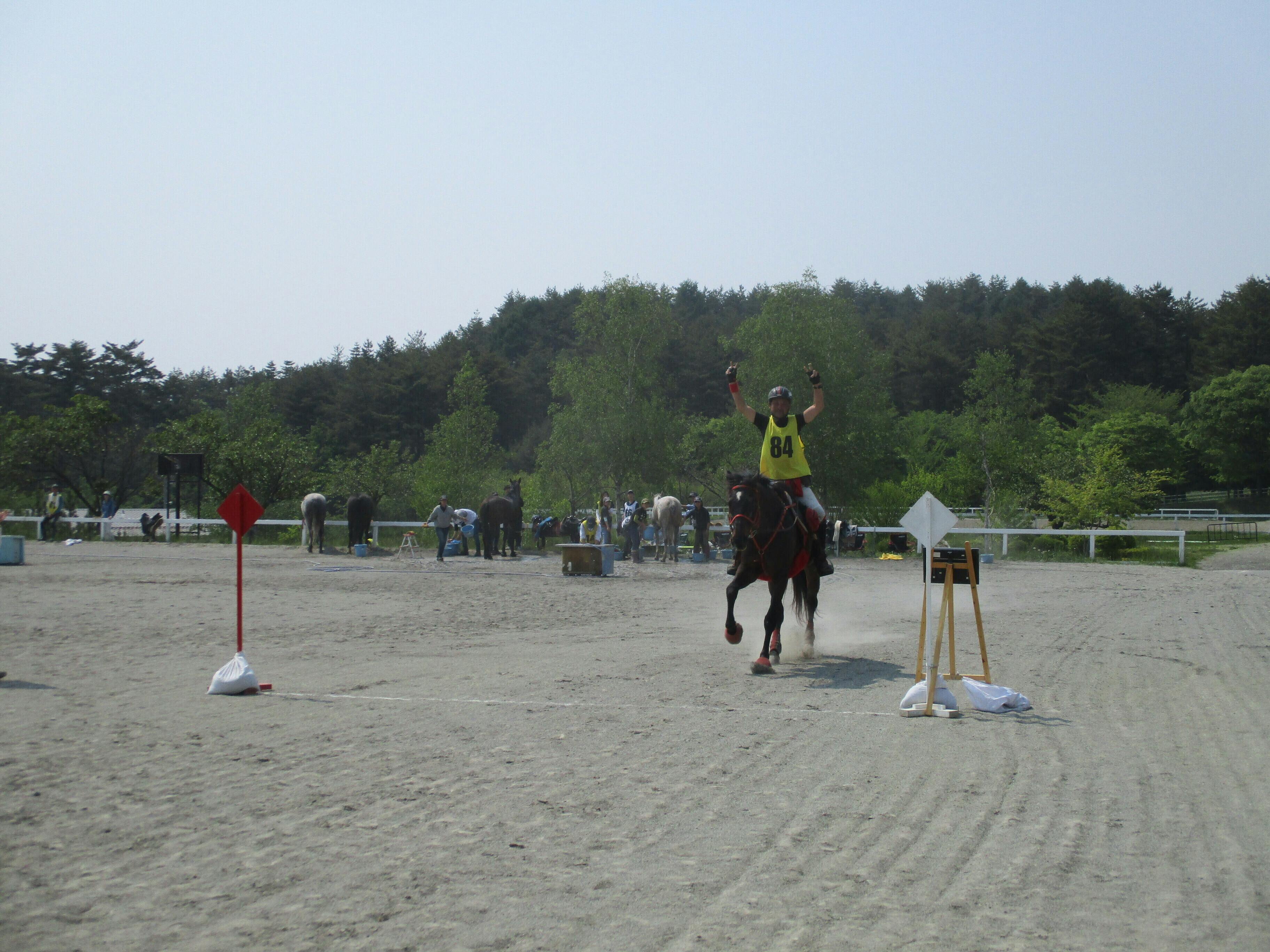 馬のエンデュランス競技とピュア アラビアン 純血アラブ種 の魅力を広めたい Campfire キャンプファイヤー 馬のエンデュランス競技とピュア アラビアン 純血アラブ種 の魅力を広めたい Campfire キャンプファイヤー