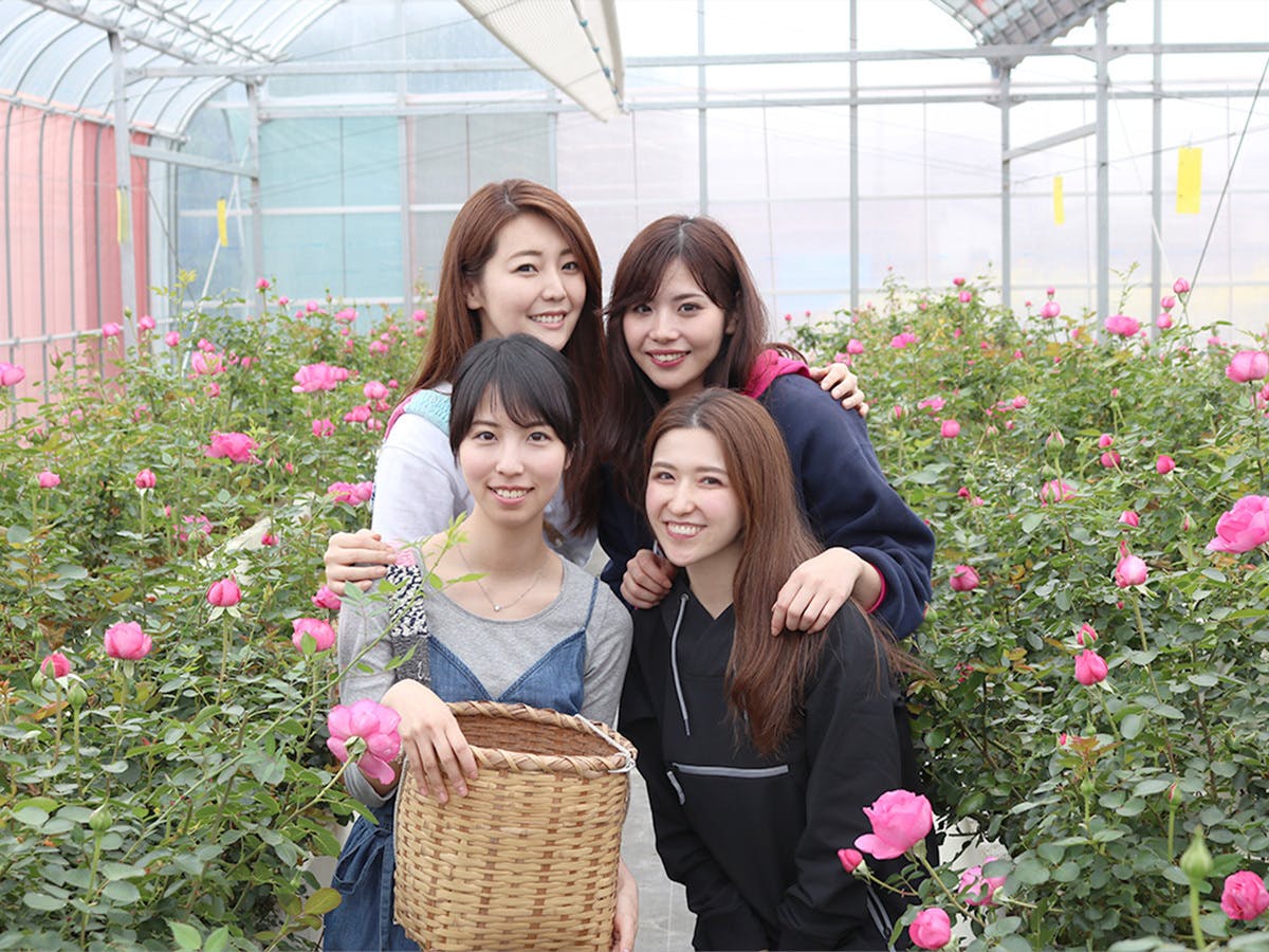 農業女子の挑戦 自社栽培の 食用バラ を取り入れたアイテムで日々の癒しを届けたい Campfire キャンプファイヤー 農業女子の挑戦 自社栽培の 食用バラ を取り入れたアイテムで日々の癒しを届けたい Campfire キャンプファイヤー