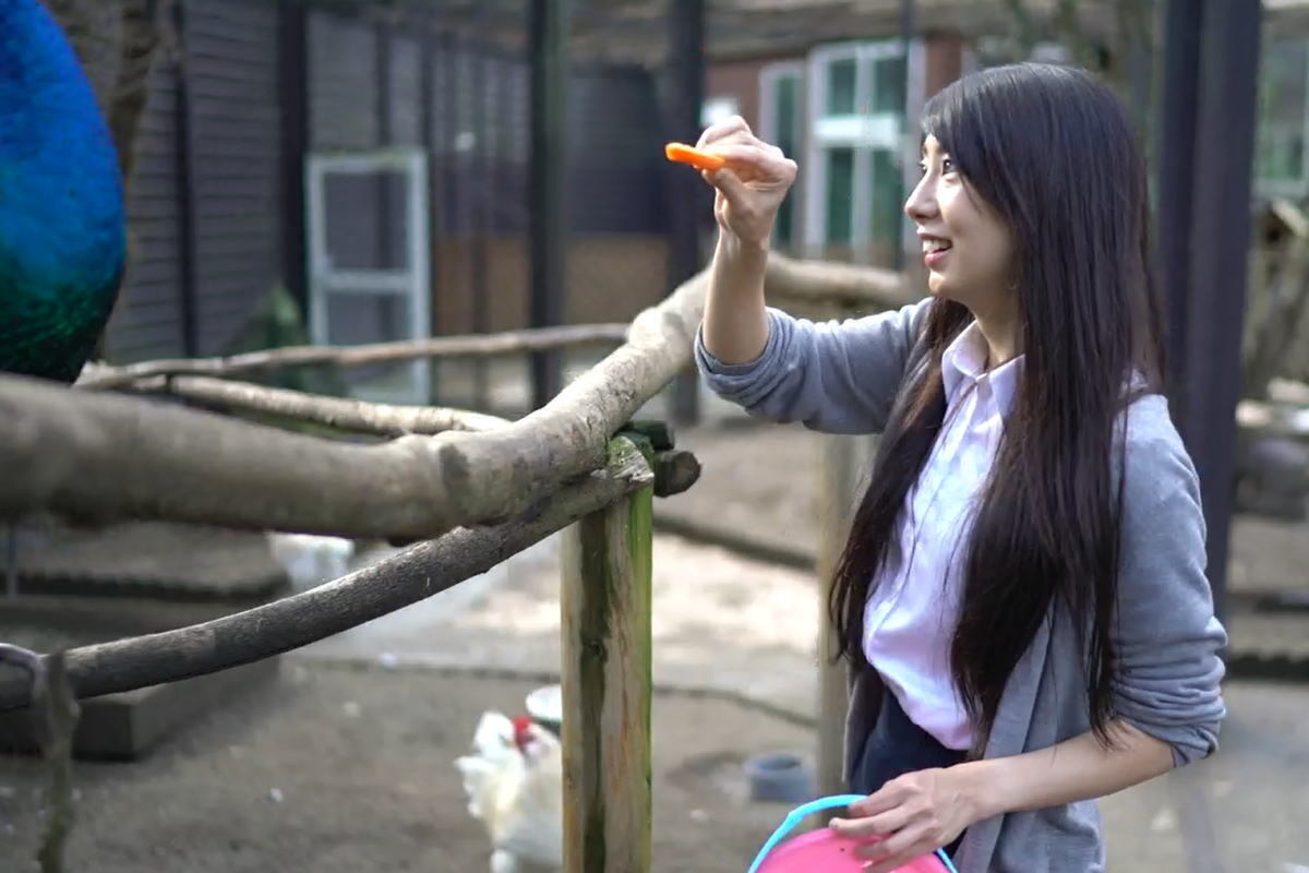 4番目のメイン画像