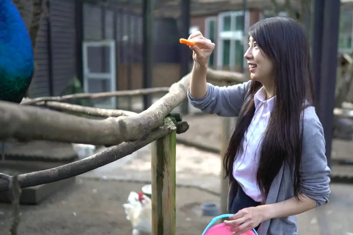 4番目のメイン画像