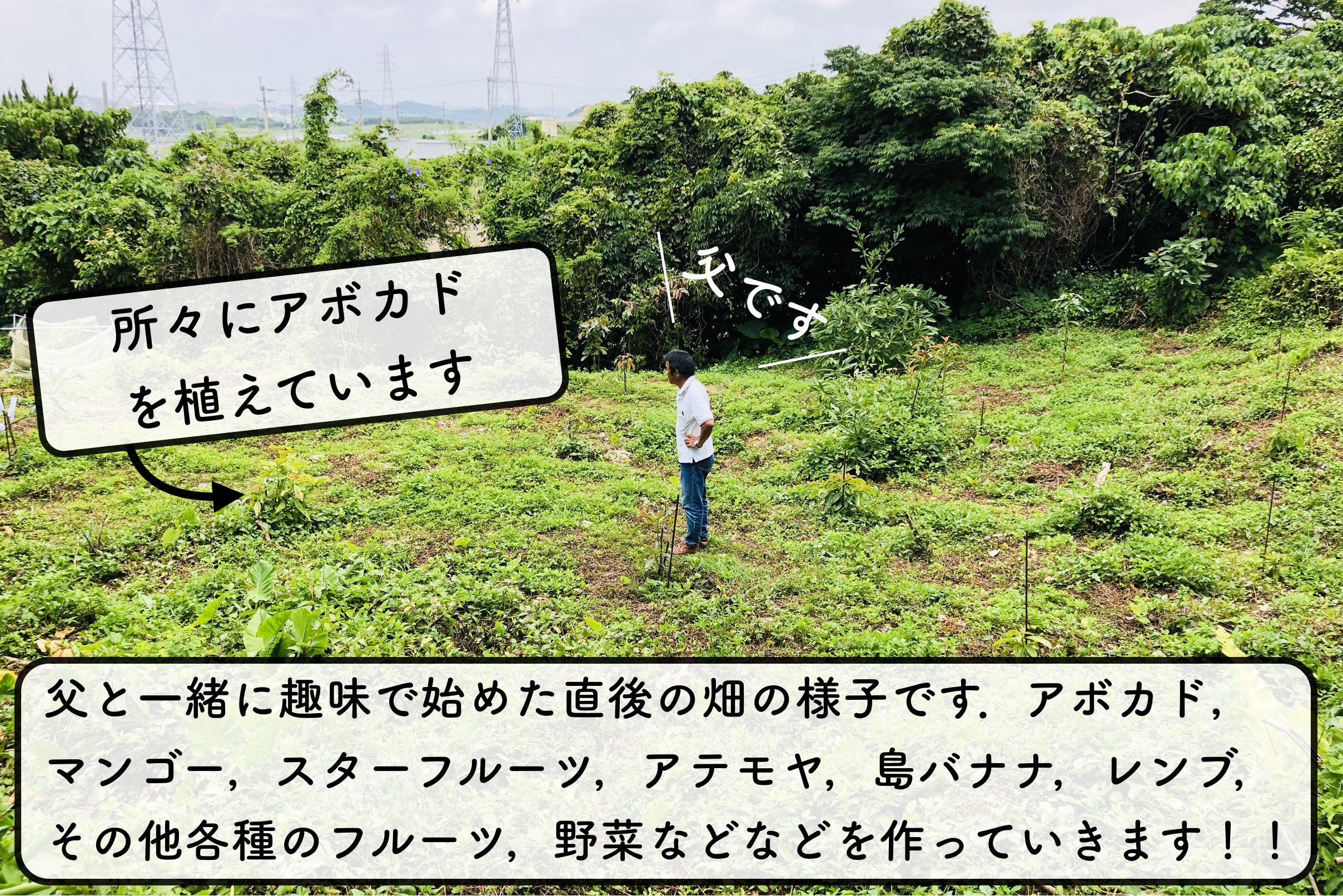 2番目のメイン画像