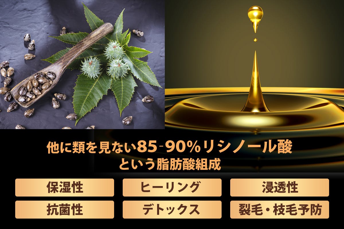 朝セットがしっかり決まる 話題の毛髪ケア油 黒ひまし油 で作るシャンプーセット Campfire キャンプファイヤー 朝セットがしっかり決まる 話題の毛髪ケア油 黒ひまし油 で作るシャンプーセット Campfire キャンプファイヤー