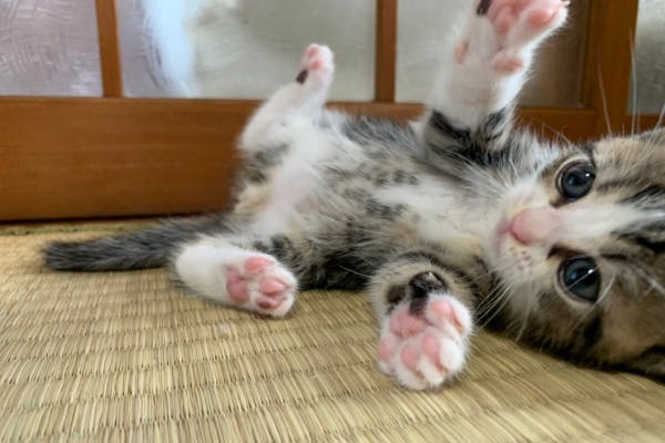激動の時代をサバイブする政治・経済サロン