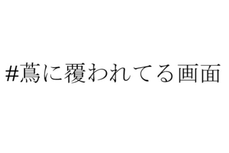 ネットとリアルを俳句でつなぐ Campfire キャンプファイヤー