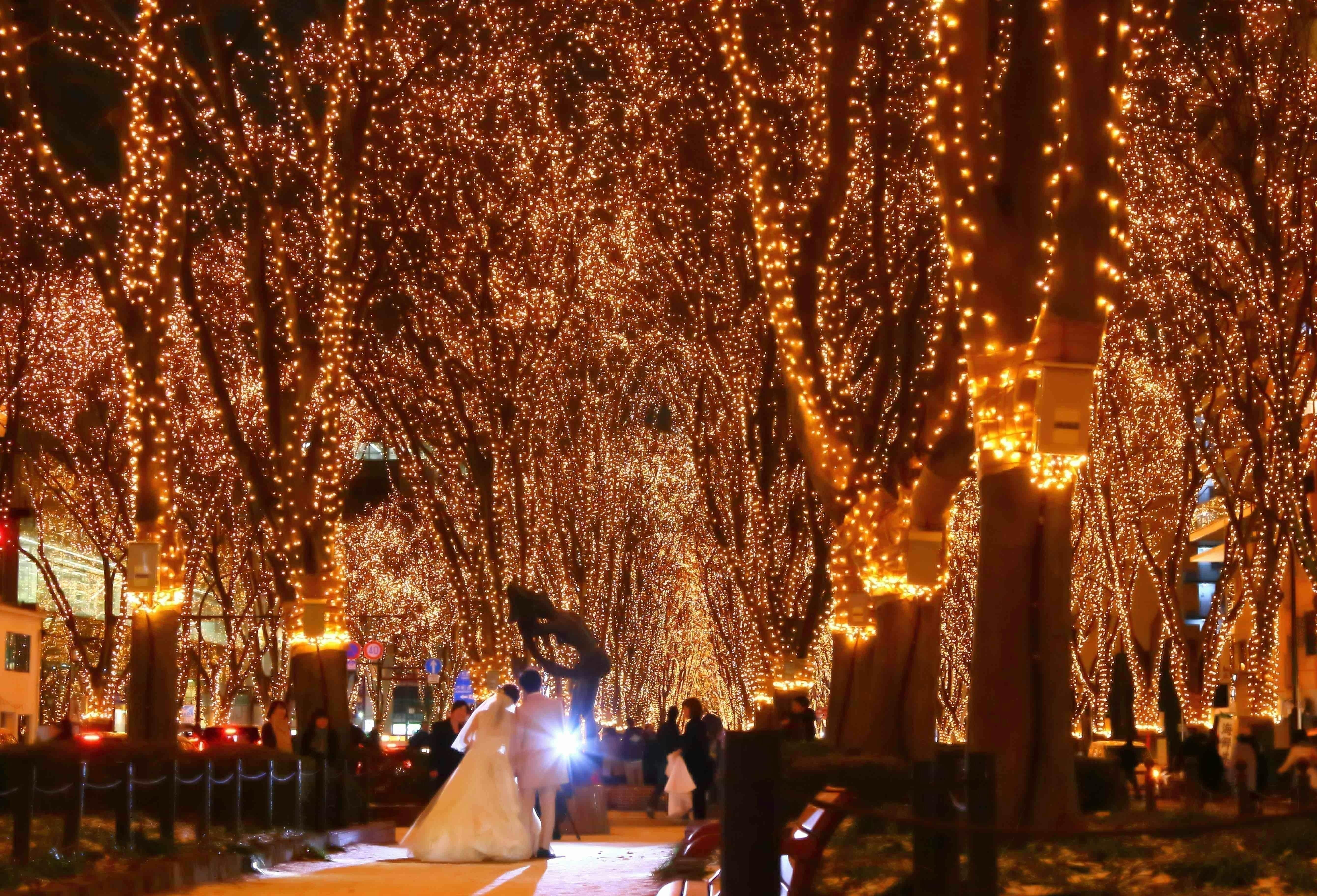 東北の厳しい冬に優しい灯を Sendai光のページェント19サポーター募集 アクティビティ Campfire キャンプファイヤー 東北の厳しい冬に優しい灯を Sendai光のページェント19サポーター募集 アクティビティ Campfire キャンプファイヤー