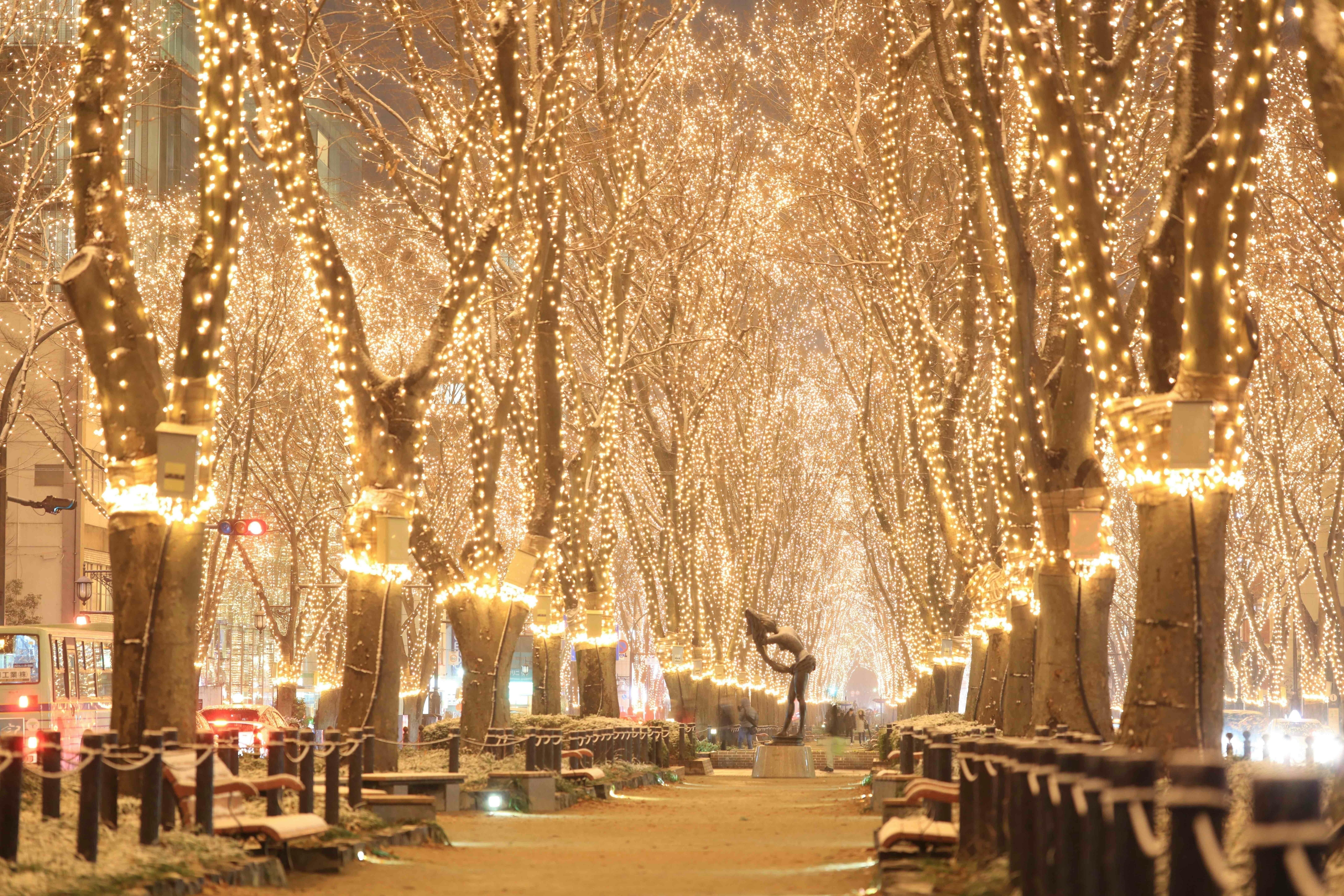 東北の厳しい冬に優しい灯を Sendai光のページェント19サポーター募集 Campfire キャンプファイヤー 東北の厳しい冬に優しい灯を Sendai光のページェント19サポーター募集 Campfire キャンプファイヤー