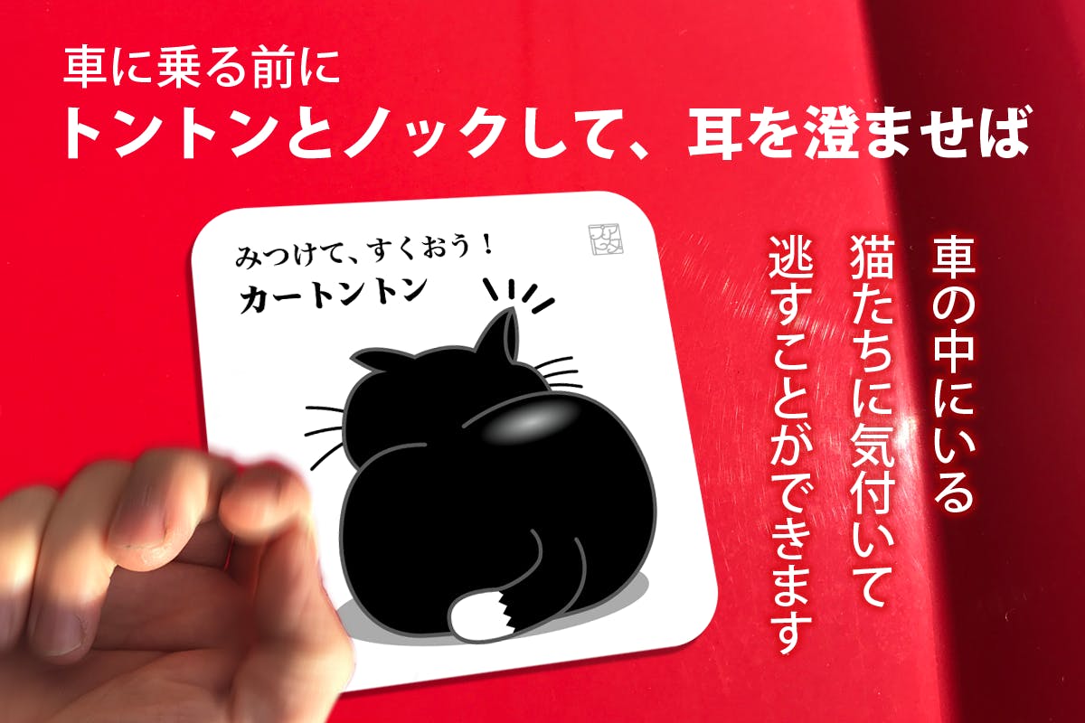 猫たちを見つけて 救ってください カートントン は 車に貼るステッカーです Campfire キャンプファイヤー 猫たちを見つけて 救ってください カートントン は 車に貼るステッカーです Campfire キャンプファイヤー
