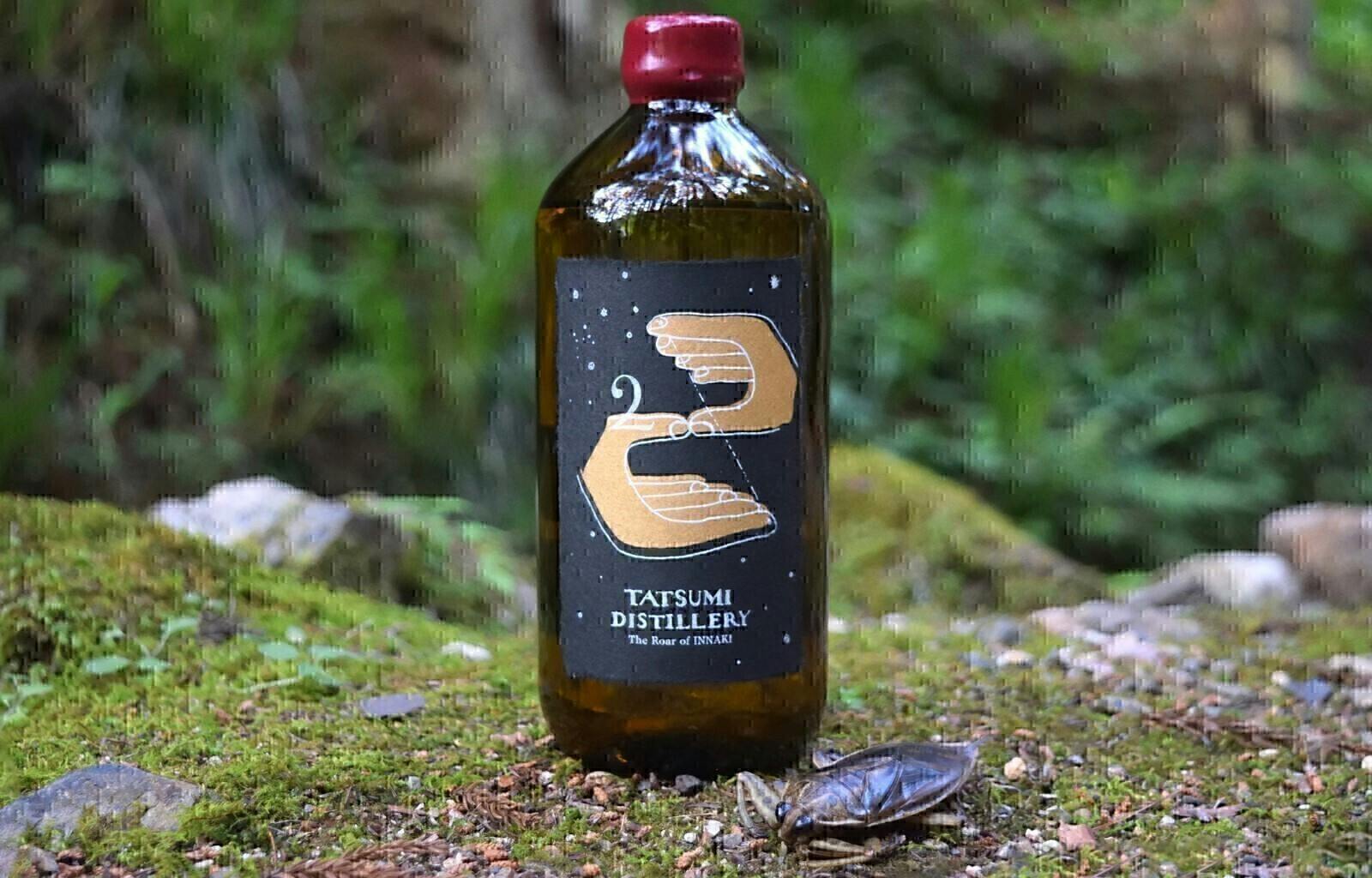 虫たちの魅力を世界に届けたい 地球を味わうレストラン Antcicada 開業 Campfire キャンプファイヤー 虫たちの魅力を世界に届けたい 地球を味わうレストラン Antcicada 開業 Campfire キャンプファイヤー