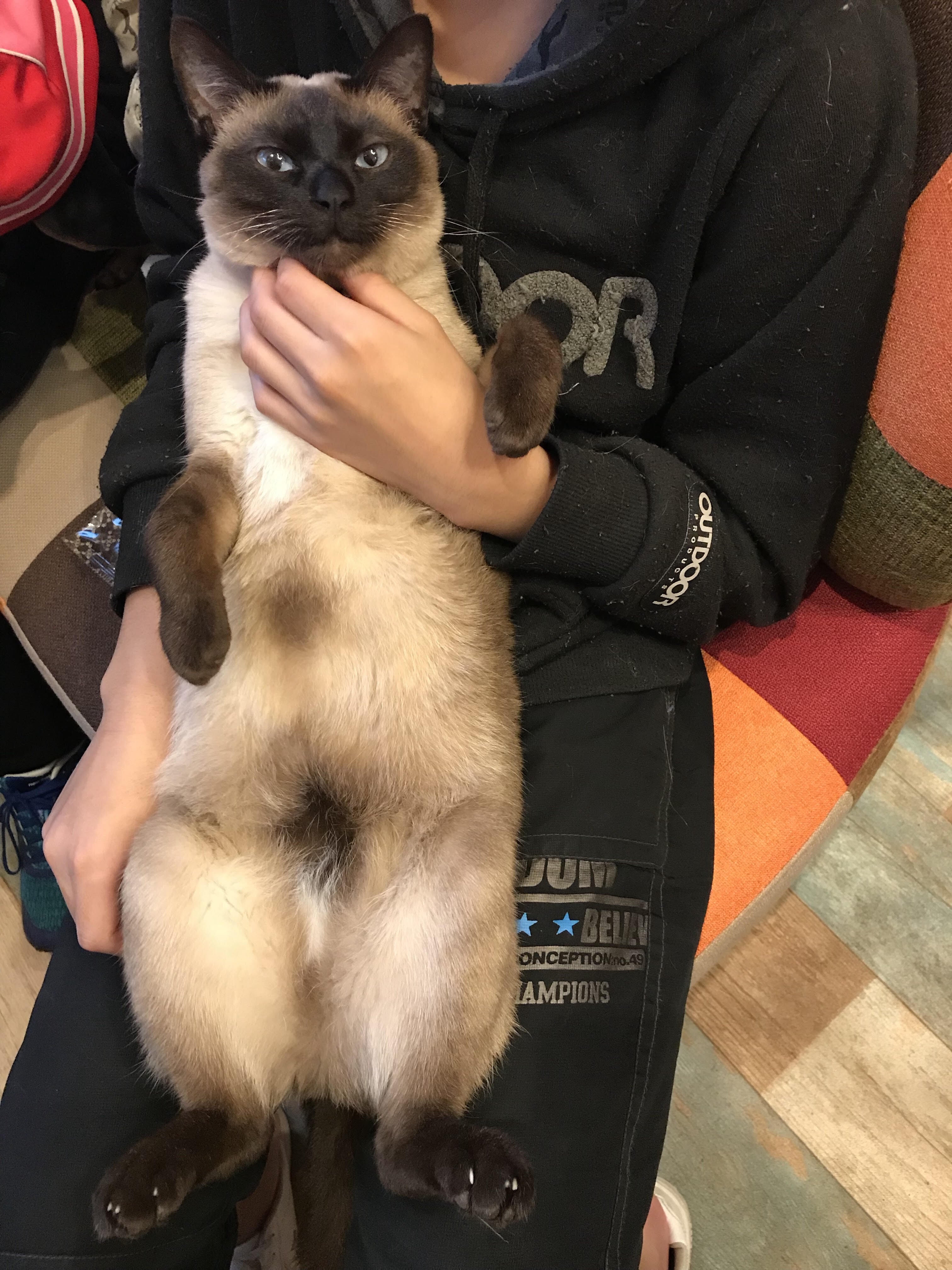 4番目のメイン画像