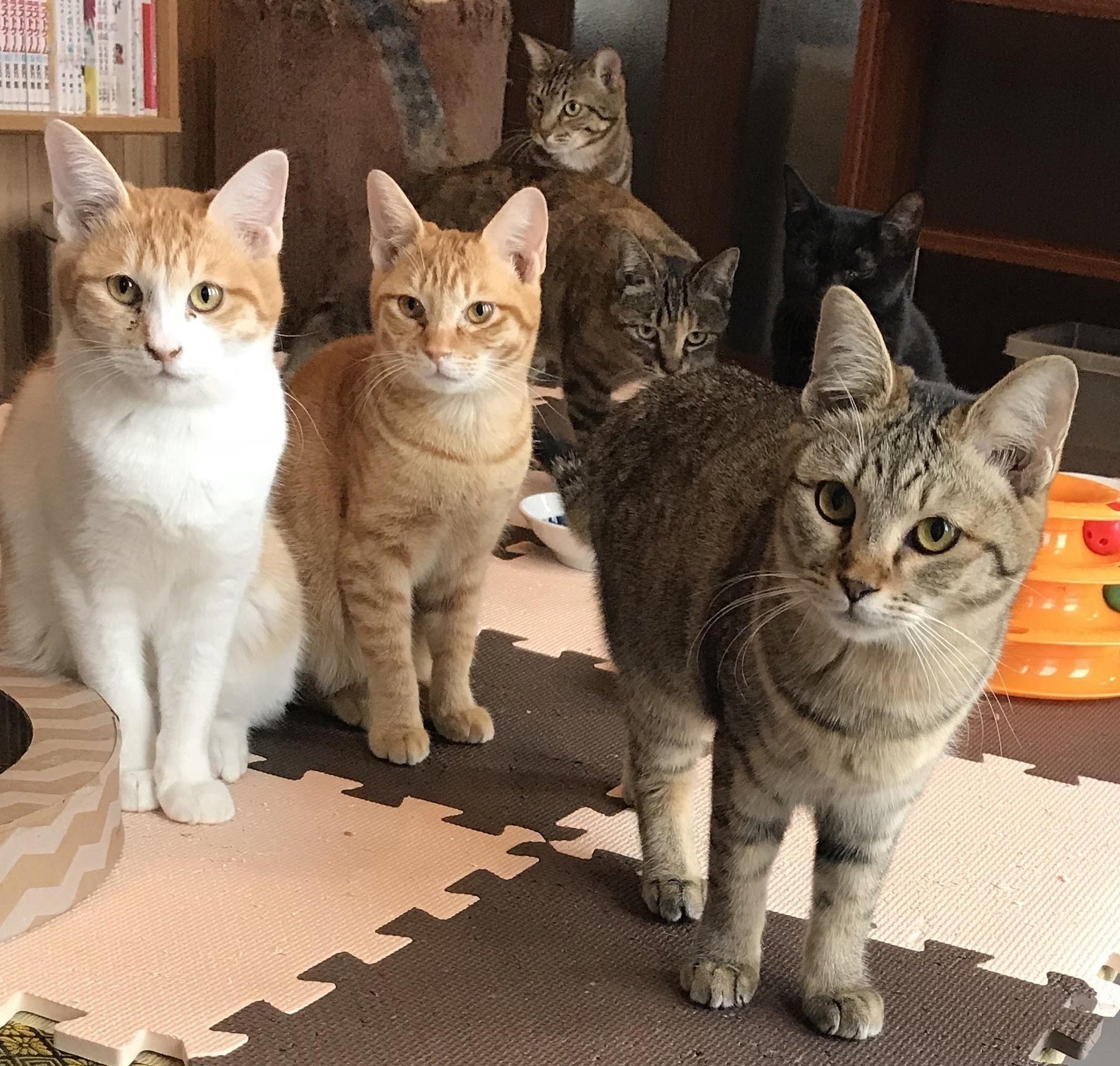 3番目のメイン画像